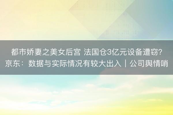 都市娇妻之美女后宫 法国仓3亿元设备遭窃？京东：数据与实际情况有较大出入｜公司舆情哨