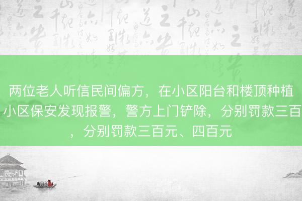 两位老人听信民间偏方，在小区阳台和楼顶种植35株罂粟！小区保安发现报警，警方上门铲除，分别罚款三百元、四百元