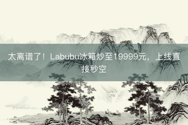 太离谱了！Labubu冰箱炒至19999元，上线直接秒空