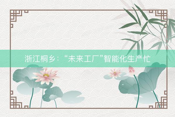 浙江桐乡：“未来工厂”智能化生产忙