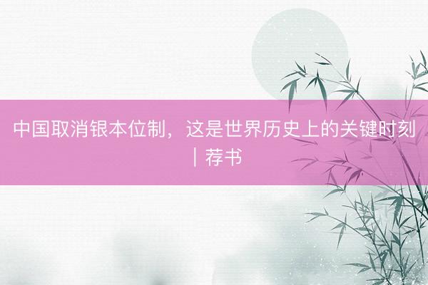 中国取消银本位制，这是世界历史上的关键时刻｜荐书