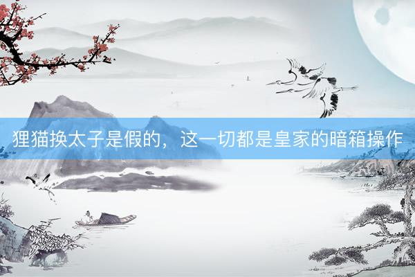 狸猫换太子是假的，这一切都是皇家的暗箱操作
