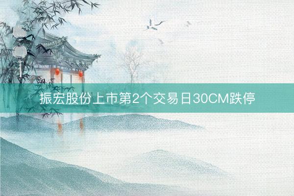 振宏股份上市第2个交易日30CM跌停