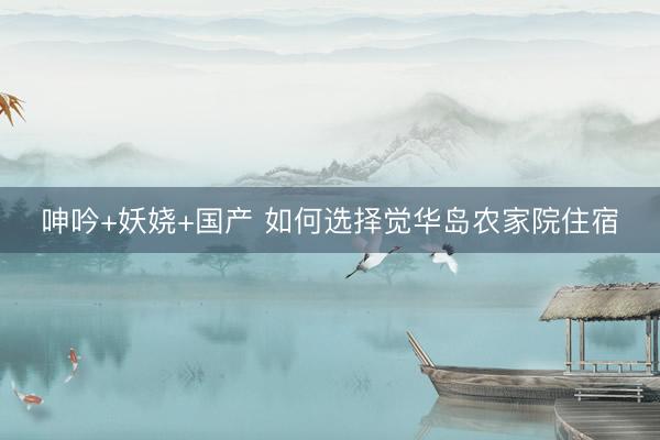 呻吟+妖娆+国产 如何选择觉华岛农家院住宿