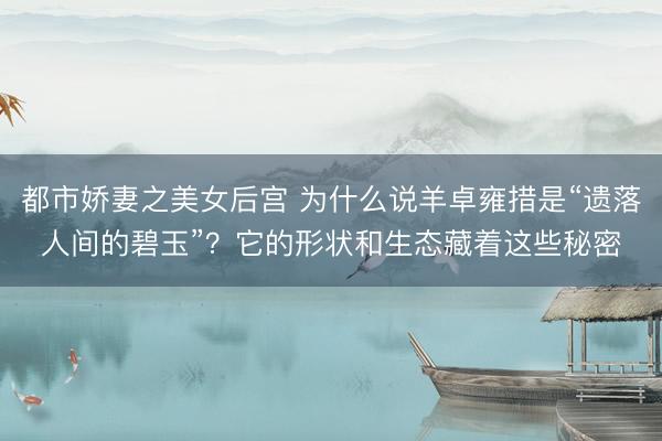都市娇妻之美女后宫 为什么说羊卓雍措是“遗落人间的碧玉”？它的形状和生态藏着这些秘密