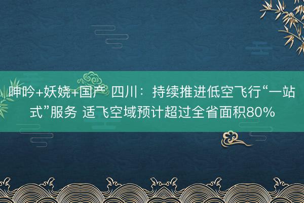 呻吟+妖娆+国产 四川：持续推进低空飞行“一站式”服务 适飞空域预计超过全省面积80%