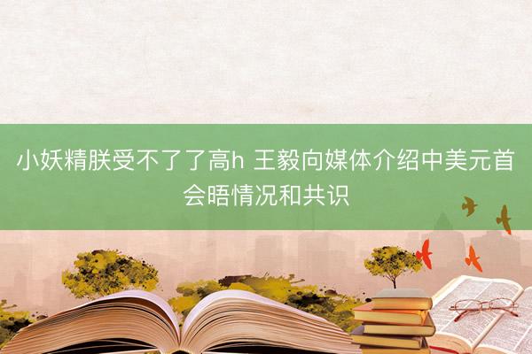 小妖精朕受不了了高h 王毅向媒体介绍中美元首会晤情况和共识