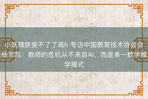 小妖精朕受不了了高h 专访中国教育技术协会会长杨宗凯：教师的危机从不来自AI，而是单一教学模式