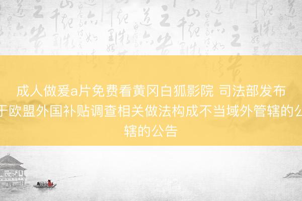 成人做爰a片免费看黄冈白狐影院 司法部发布关于欧盟外国补贴调查相关做法构成不当域外管辖的公告