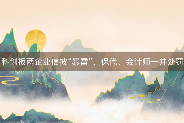 科创板两企业信披“暴雷”，保代、会计师一并处罚