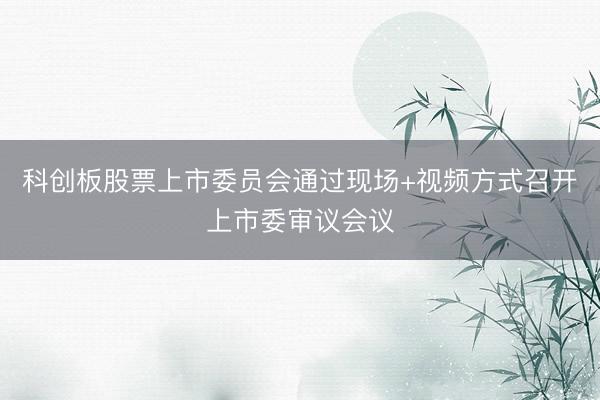 科创板股票上市委员会通过现场+视频方式召开上市委审议会议