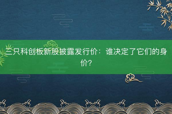 三只科创板新股披露发行价：谁决定了它们的身价？