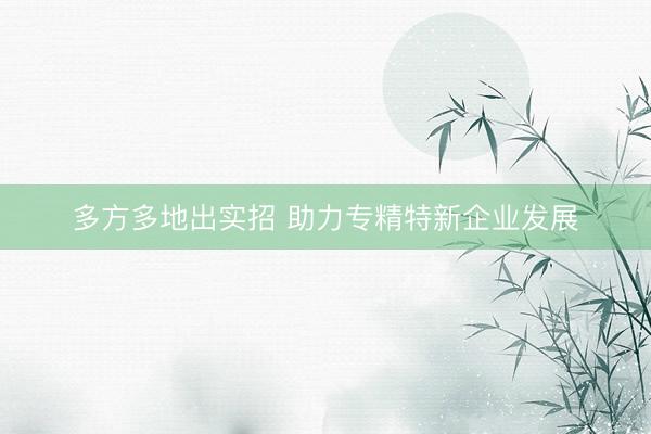 多方多地出实招 助力专精特新企业发展