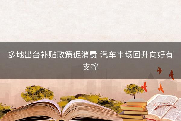 多地出台补贴政策促消费 汽车市场回升向好有支撑