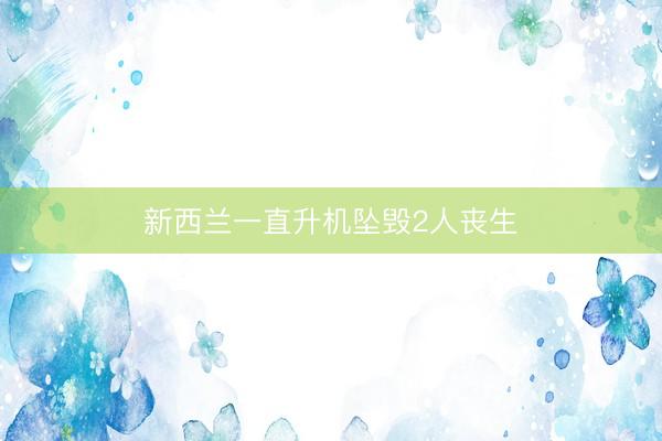 新西兰一直升机坠毁2人丧生