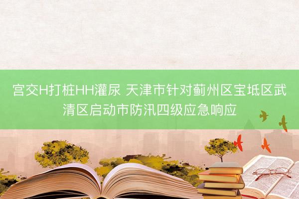 宫交H打桩HH灌尿 天津市针对蓟州区宝坻区武清区启动市防汛四级应急响应