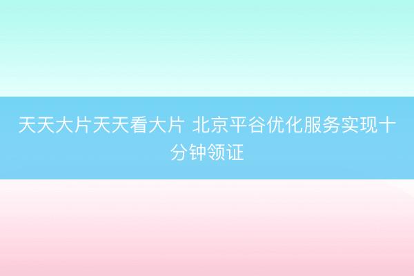 天天大片天天看大片 北京平谷优化服务实现十分钟领证