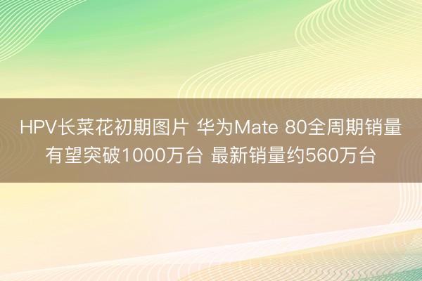 HPV长菜花初期图片 华为Mate 80全周期销量有望突破1000万台 最新销量约560万台