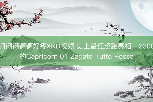 锕锕锕锕锕锕锕好疼XKD视频 史上最红超跑亮相，2300万元的Capricorn 01 Zagato Tutto Rosso