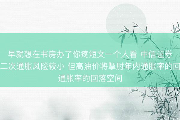 早就想在书房办了你疼短文一个人看 中信证券：美国二次通胀风险较小 但高油价将掣肘年内通胀率的回落空间
