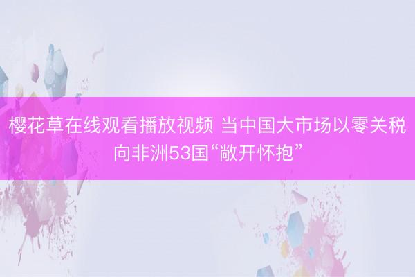 樱花草在线观看播放视频 当中国大市场以零关税向非洲53国“敞开怀抱”