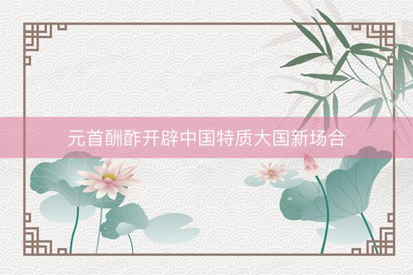 元首酬酢开辟中国特质大国新场合