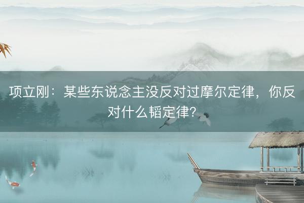 项立刚：某些东说念主没反对过摩尔定律，你反对什么韬定律？