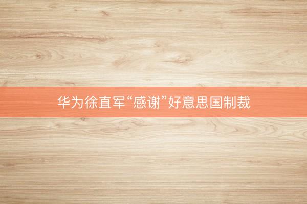 华为徐直军“感谢”好意思国制裁
