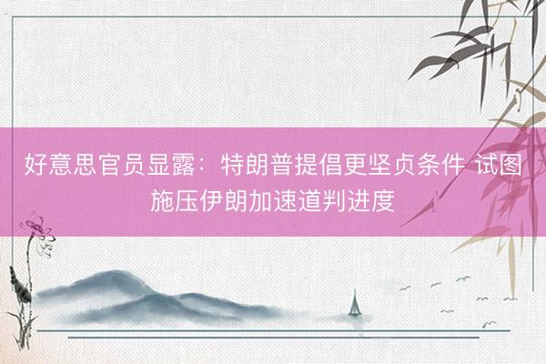 好意思官员显露：特朗普提倡更坚贞条件 试图施压伊朗加速道判进度