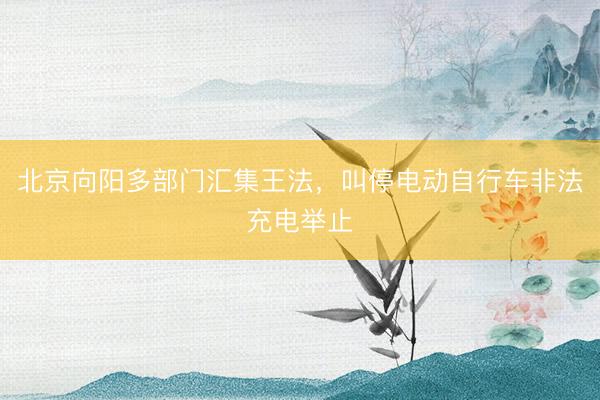 北京向阳多部门汇集王法，叫停电动自行车非法充电举止