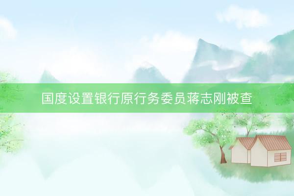 国度设置银行原行务委员蒋志刚被查
