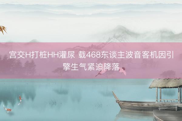 宫交H打桩HH灌尿 载468东谈主波音客机因引擎生气紧迫降落