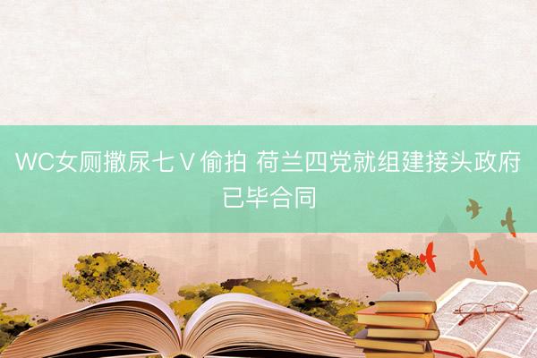 WC女厕撒尿七Ⅴ偷拍 荷兰四党就组建接头政府已毕合同