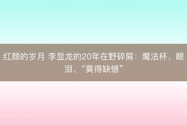 红颜的岁月 李显龙的20年在野碎屑：魔法杯、眼泪、“莫得缺憾”