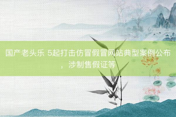 国产老头乐 5起打击仿冒假冒网站典型案例公布，涉制售假证等