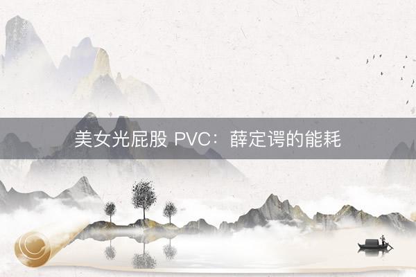 美女光屁股 PVC：薛定谔的能耗
