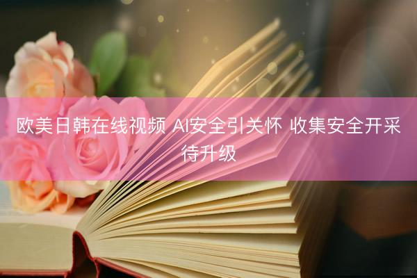 欧美日韩在线视频 AI安全引关怀 收集安全开采待升级