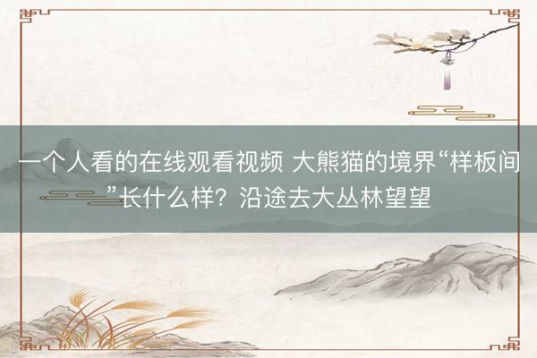 一个人看的在线观看视频 大熊猫的境界“样板间”长什么样？沿途去大丛林望望
