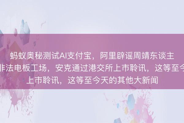 蚂蚁奥秘测试AI支付宝，阿里辟谣周靖东谈主辞职，央视曝光非法电板工场，安克通过港交所上市聆讯，这等至今天的其他大新闻
