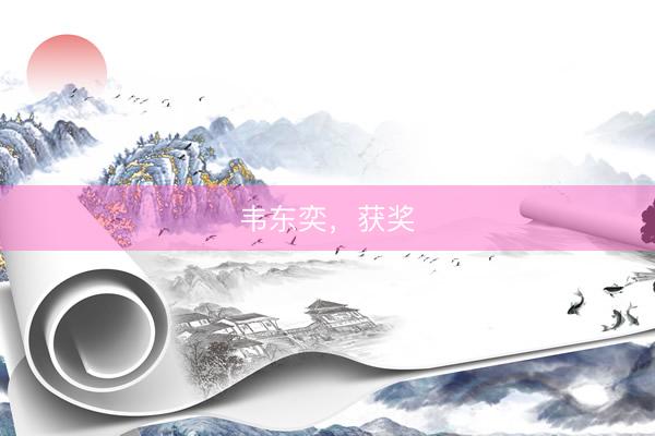 韦东奕，获奖