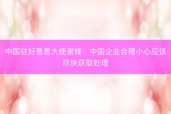 中国驻好意思大使谢锋:中国企业合理小心应该尽快获取处理