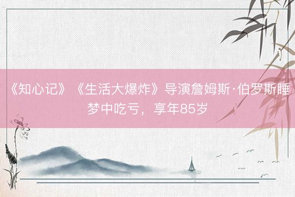 《知心记》《生活大爆炸》导演詹姆斯·伯罗斯睡梦中吃亏,享年85岁