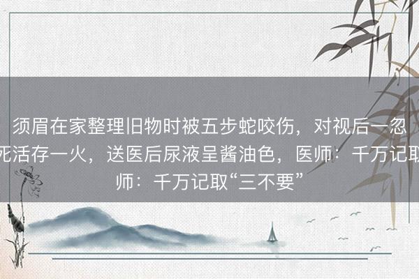 须眉在家整理旧物时被五步蛇咬伤，对视后一忽儿我晕、死活存一火，送医后尿液呈酱油色，医师：千万记取“三不要”