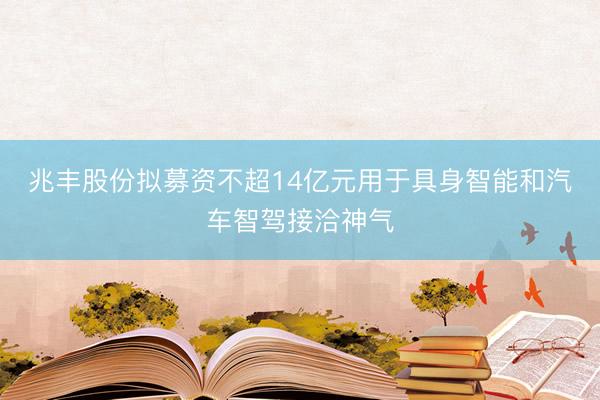 兆丰股份拟募资不超14亿元用于具身智能和汽车智驾接洽神气